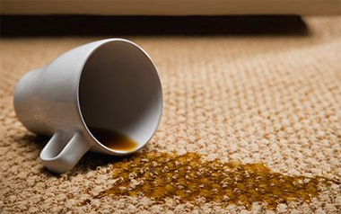 Carpet Cleaning Livermore, CA