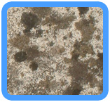 Livermore, CA Water Damage Restoration